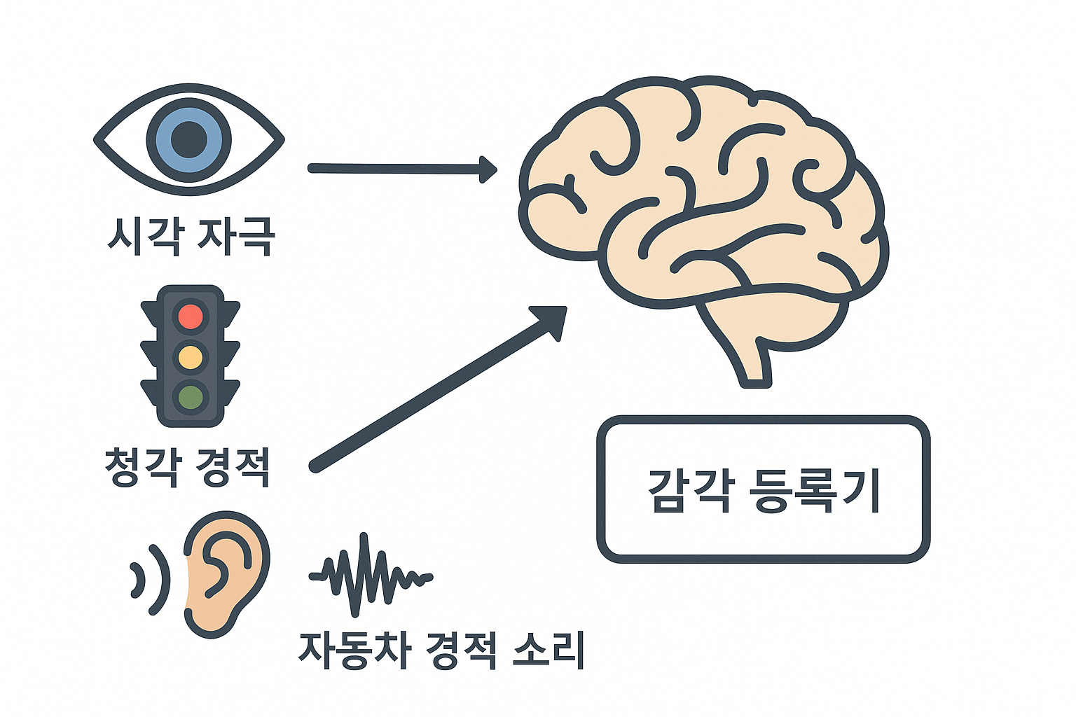 감각 등록기의 시각과 청각 정보 처리 과정 예시