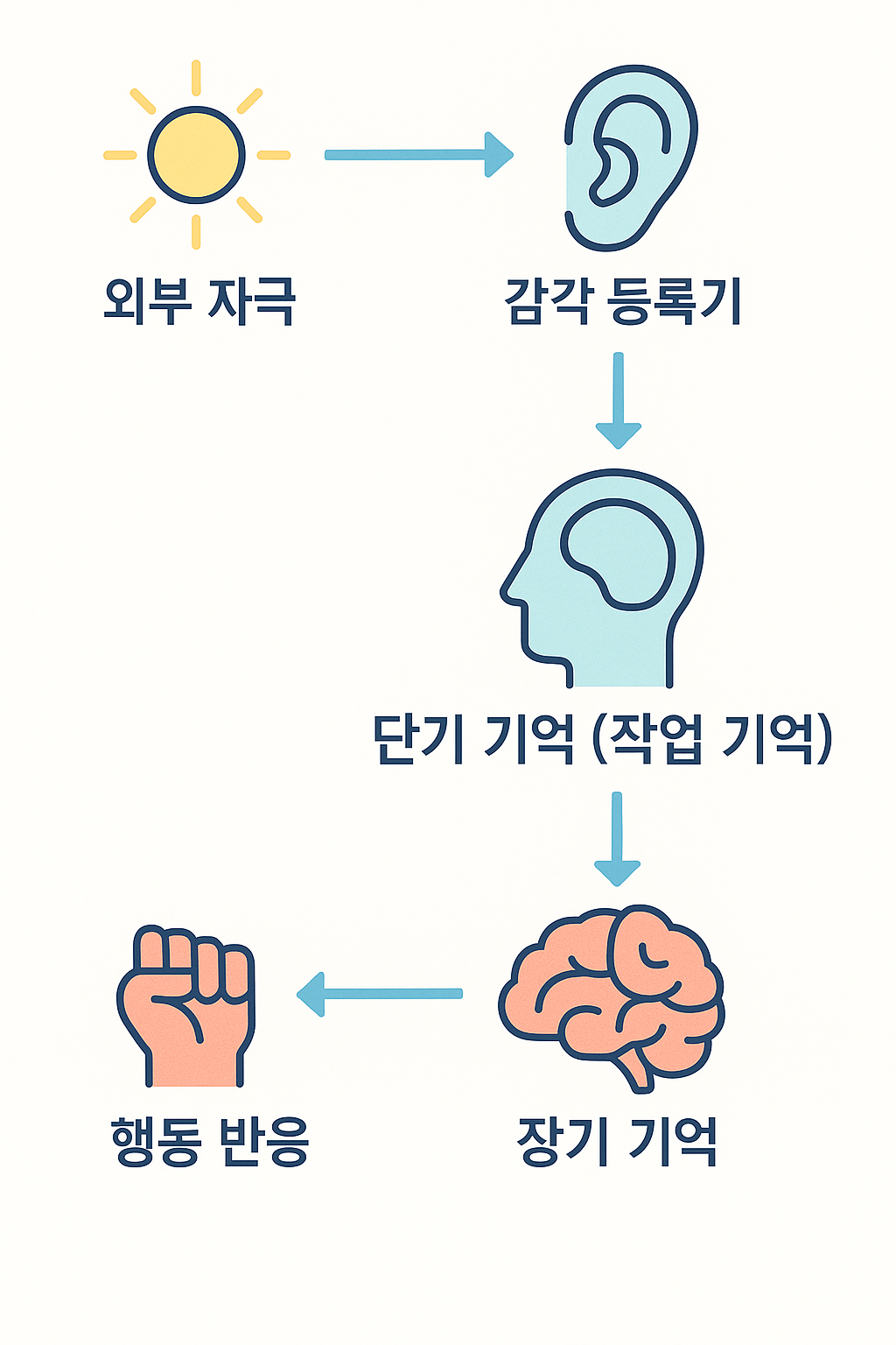 인지심리학의 정보처리 모델 시각화