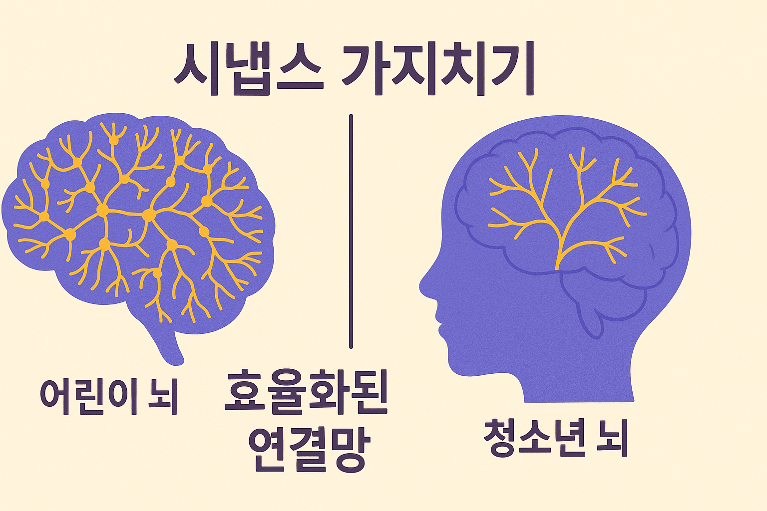 사춘기 뇌 구조 재편 과정