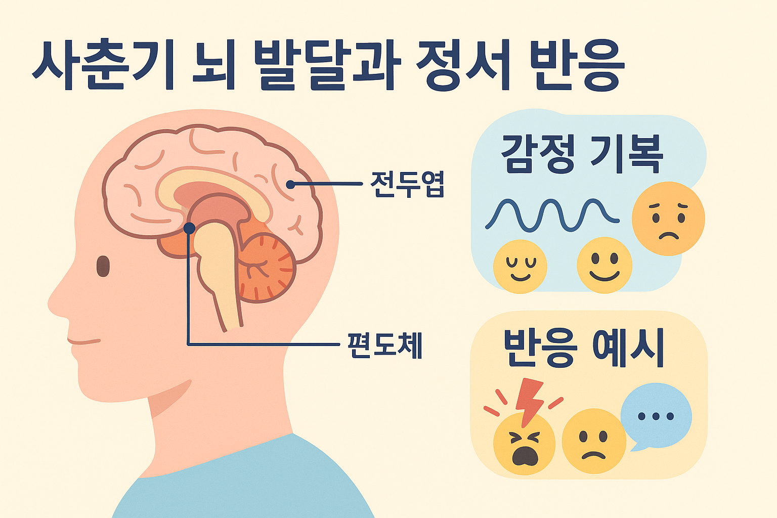 사춘기 뇌와 감정 변화 인포그래픽