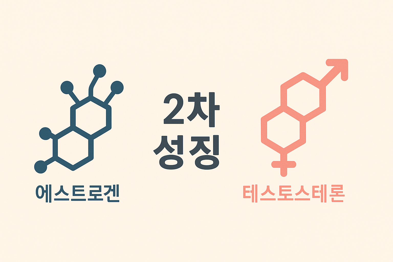 사춘기 성호르몬 변화 이미지