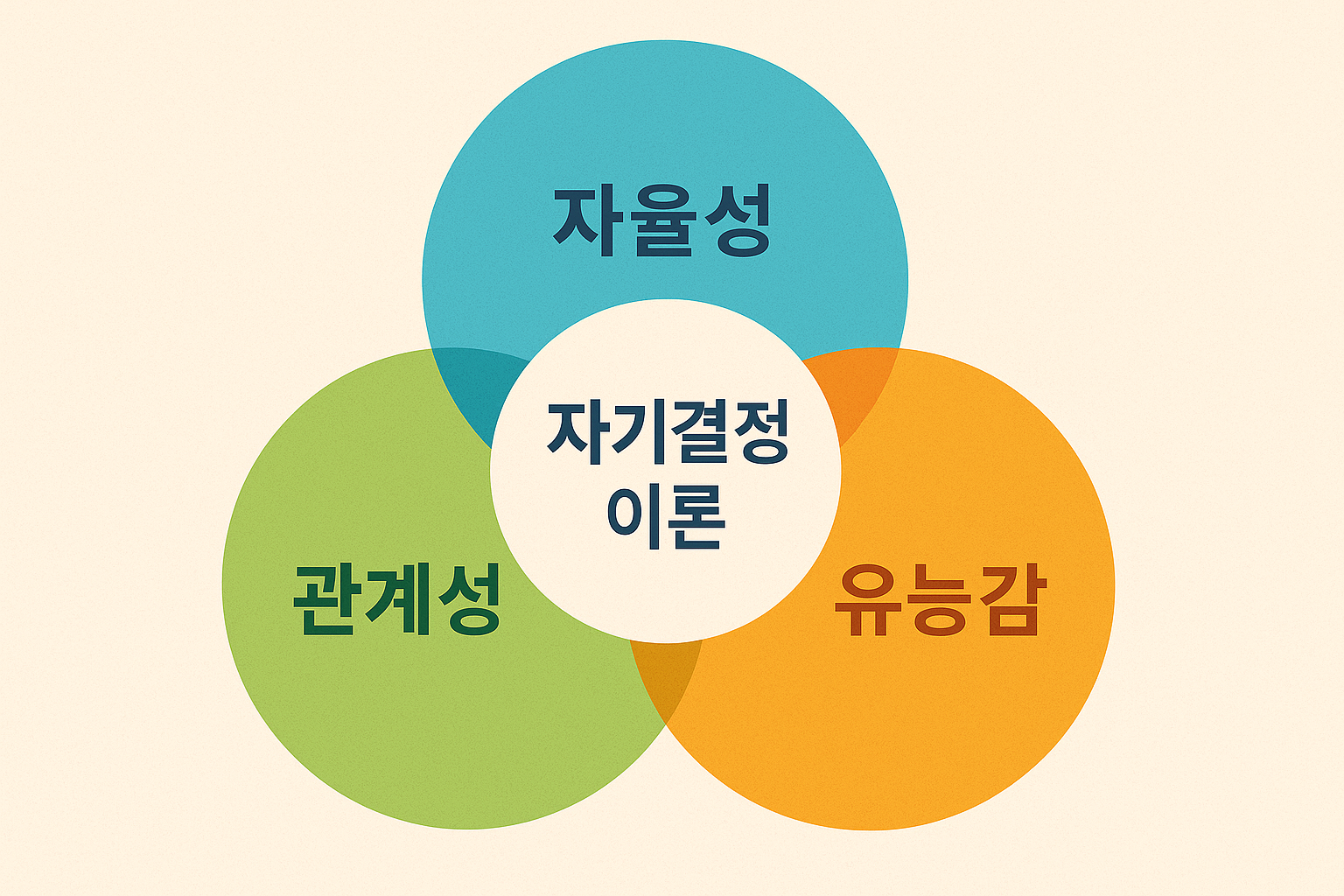 자기결정이론의 3요소 개념 다이어그램